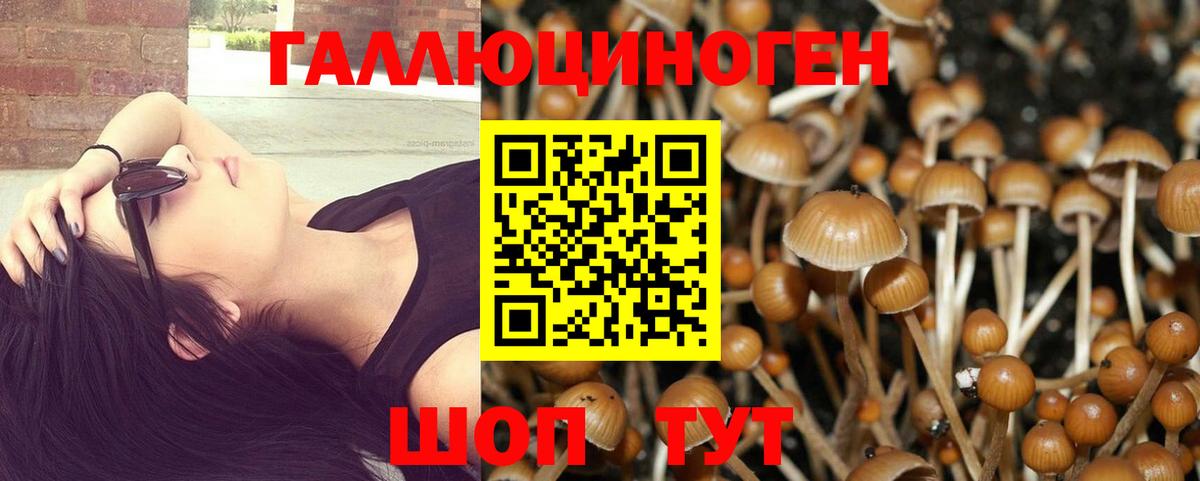 Галлюциногенные грибы Magic Shrooms  Галлюциногенные грибы Psilocybine cubensis  Вход с VPN  Алексеевка 